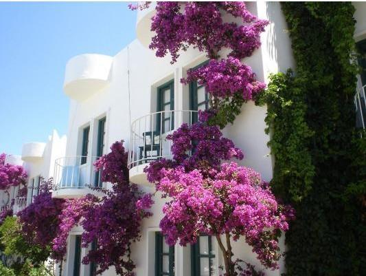 Safir Hotel Битез Екстериор снимка